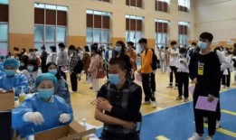 东岛风筝爆料最新消息,揭秘神秘事件背后真相